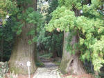 CIMG0446.JPG