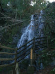 CIMG0642.JPG