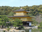 CIMG0754.JPG