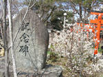 CIMG0779.JPG