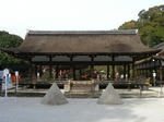 CIMG0783.JPG