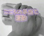 1463358.jpg