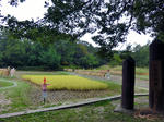 CIMG6019.JPG