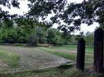 CIMG9175.JPG