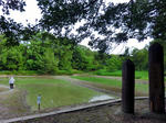CIMG0249.jpg