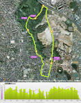 20121110.jpg