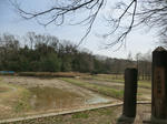 CIMG0706.jpg