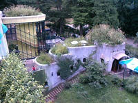 070923_1306~01.JPG