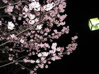 IMG_0391_R.jpg