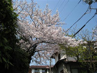 IMG_0514_R.jpg