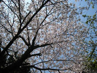 IMG_0518_R.jpg