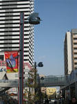 IMG_0800_R.jpg