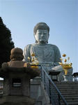 IMG_0804_R.jpg