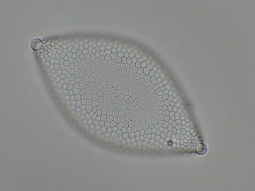 82ce65d0.jpg