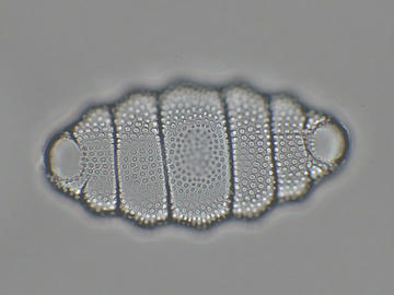 2b68cbf8.jpg