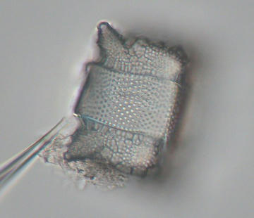 dba0f9c1.jpg
