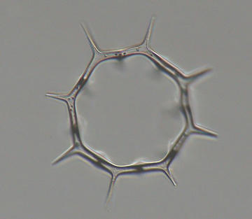 1f416d8d.jpg
