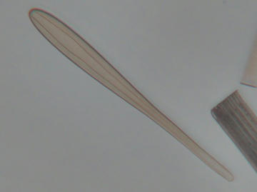 8ecd9c71.jpg