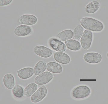 Image4.jpg