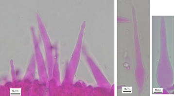 Image3.jpg