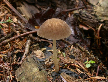 DSCN9650.JPG