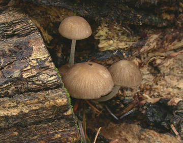 DSCN9648.JPG