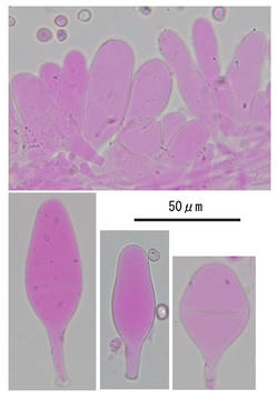 Image10.jpg