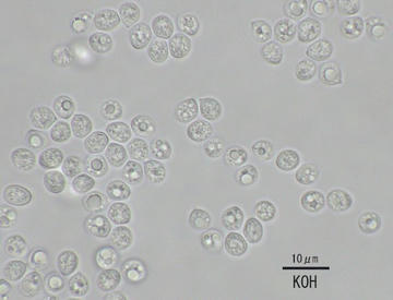 Image1.jpg