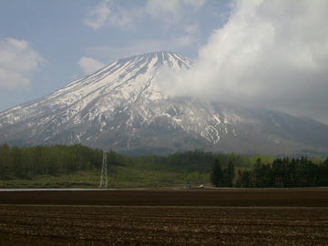 youtei_061.jpg