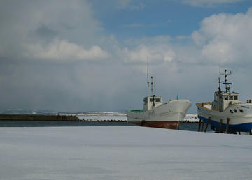 P3100014.JPG