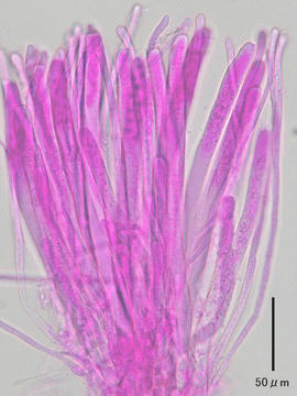 image14.jpg