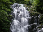 DSCF0380.JPG
