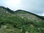 DSCF0394.JPG