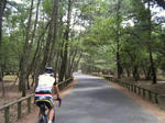DSCF0451.JPG