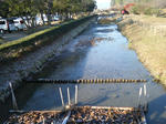 2010_01170013.JPG