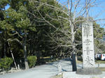 2010_01170067.JPG