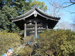 2010_01170070.JPG