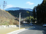 2010_01170088.JPG