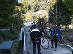 2010_01170106.JPG