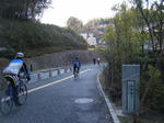 2010_01170108.JPG