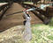 a3d1dca0jpeg