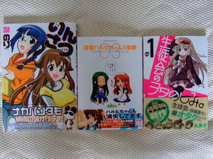 2009_0723iroiro0095.JPG