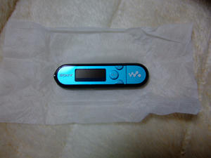 2009_1223walk0026.JPG