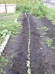 F1000021_R.jpg