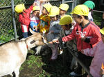 IMG_1560_R.jpg