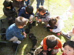 IMG_1877_R.jpg