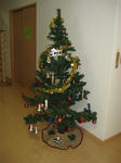 IMG_2082_R.jpg