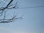 IMG_3268_R.jpg