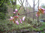 IMG_3993_R.jpg