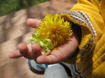 IMG_4269_R.jpg